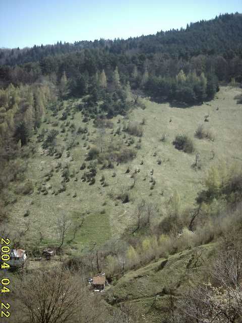 Casa si gradina in Brasov