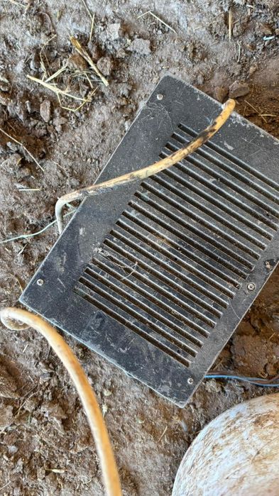 Машинка қойдын жүнін алатын