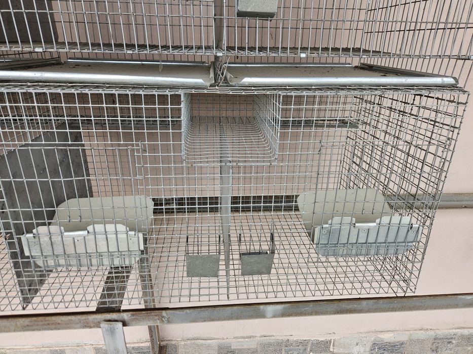 Cusca  pentru iepuri