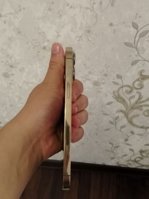 Iphone 13 pro max gold
