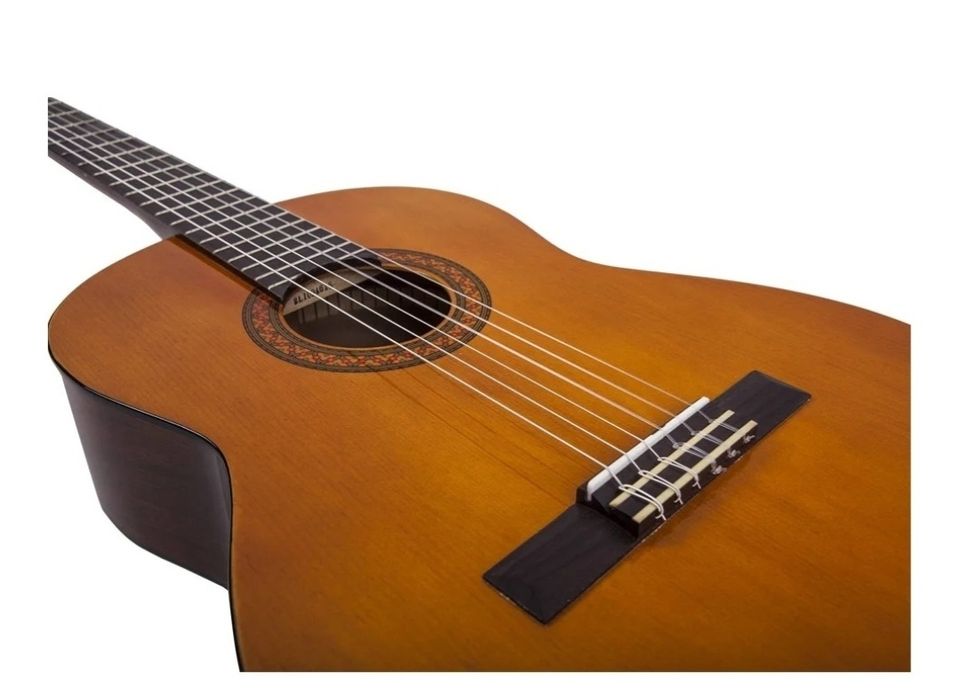 Гитара с чехлом.