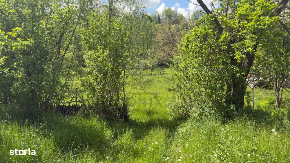 Casă P+1E la roșu, 182 mp, teren 1000 mp – Valea Doftanei