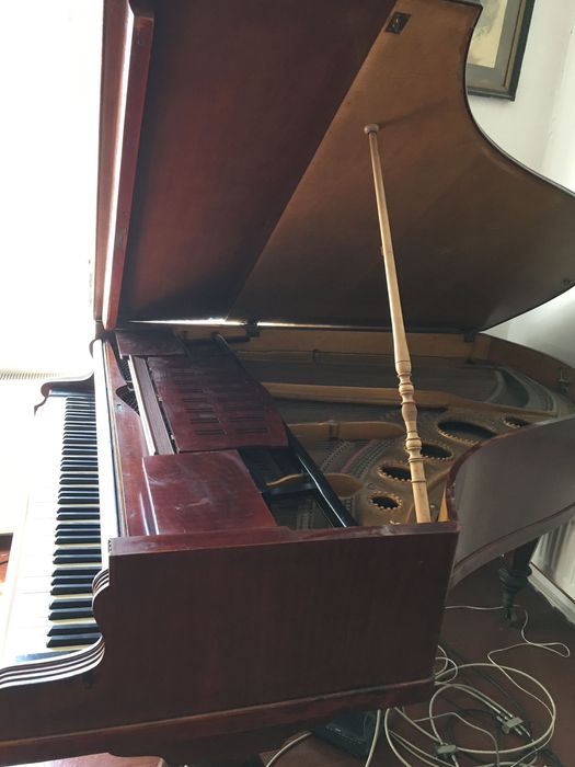 Vand pian vechi vienez Stenzel & Schlemmer cu coada scurta