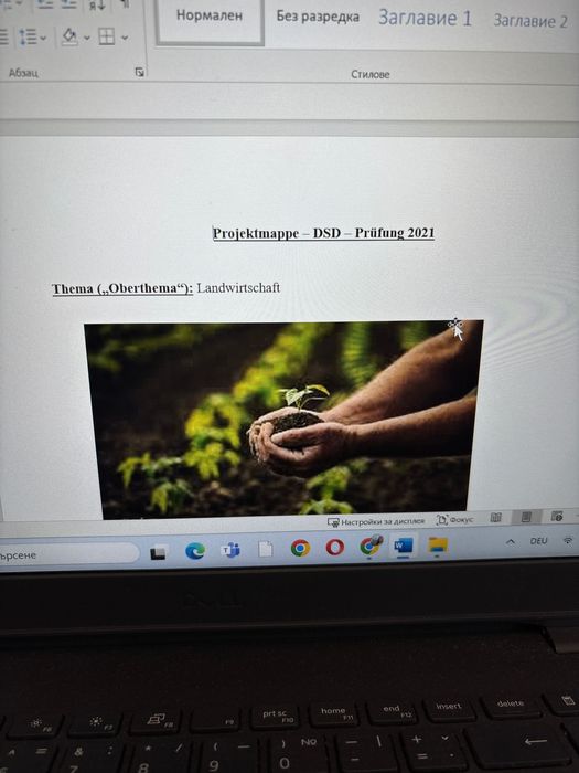 DSD-Mappe, ниво C1