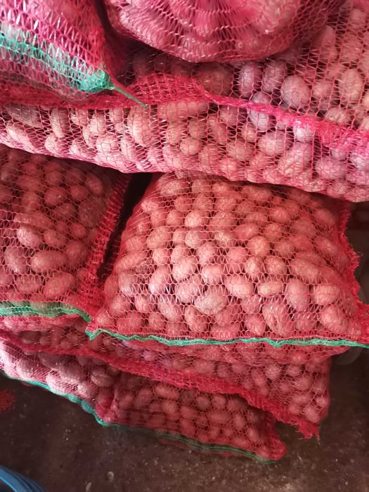 Vând cartofi pentru animale.