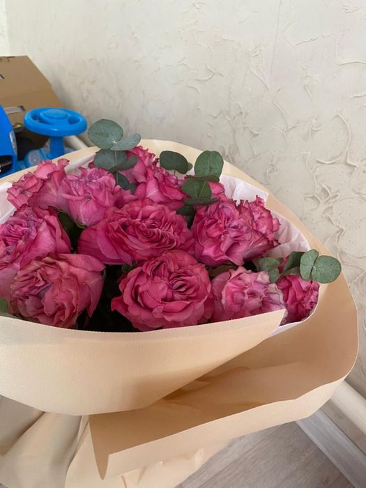 Продам цветы пишите