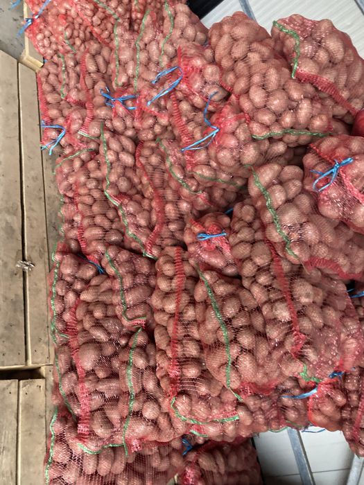 Cartofi 55+ , sortati recent