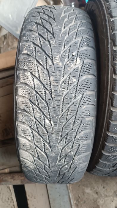 Шины Nokian Hakkapellita