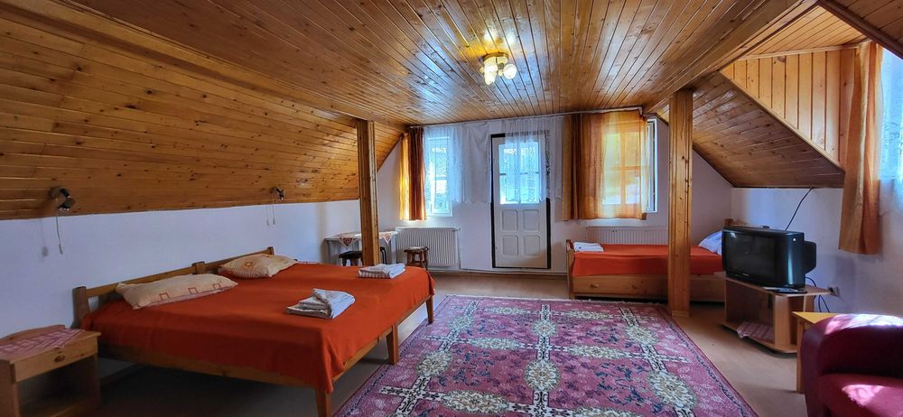 Casa de vanzare (imobil multifuncțional)