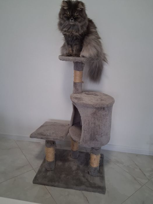 Драскулка за котка