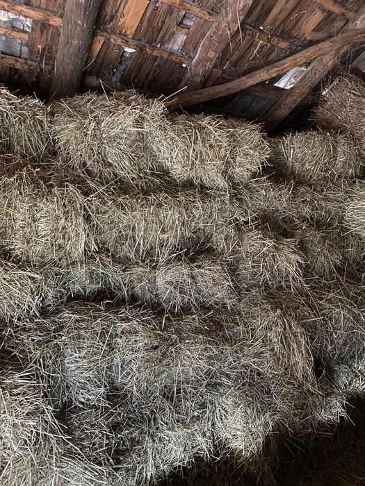 Vand 200 de baloti de fan