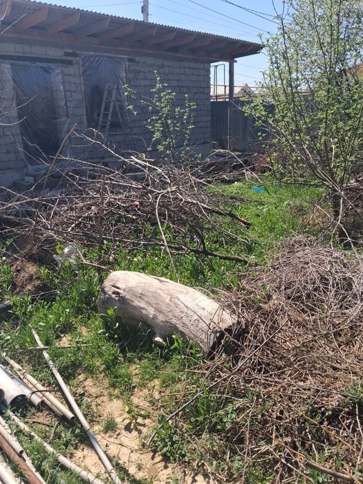 ОТЫН, Тегин! Тегин