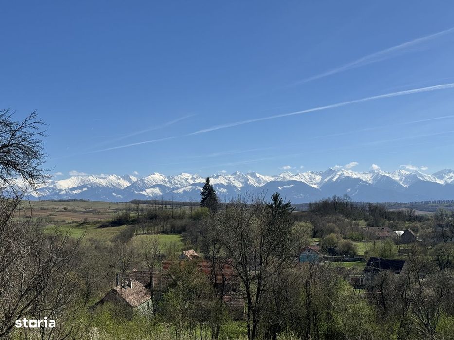Teren intravilan de 7000 mp,