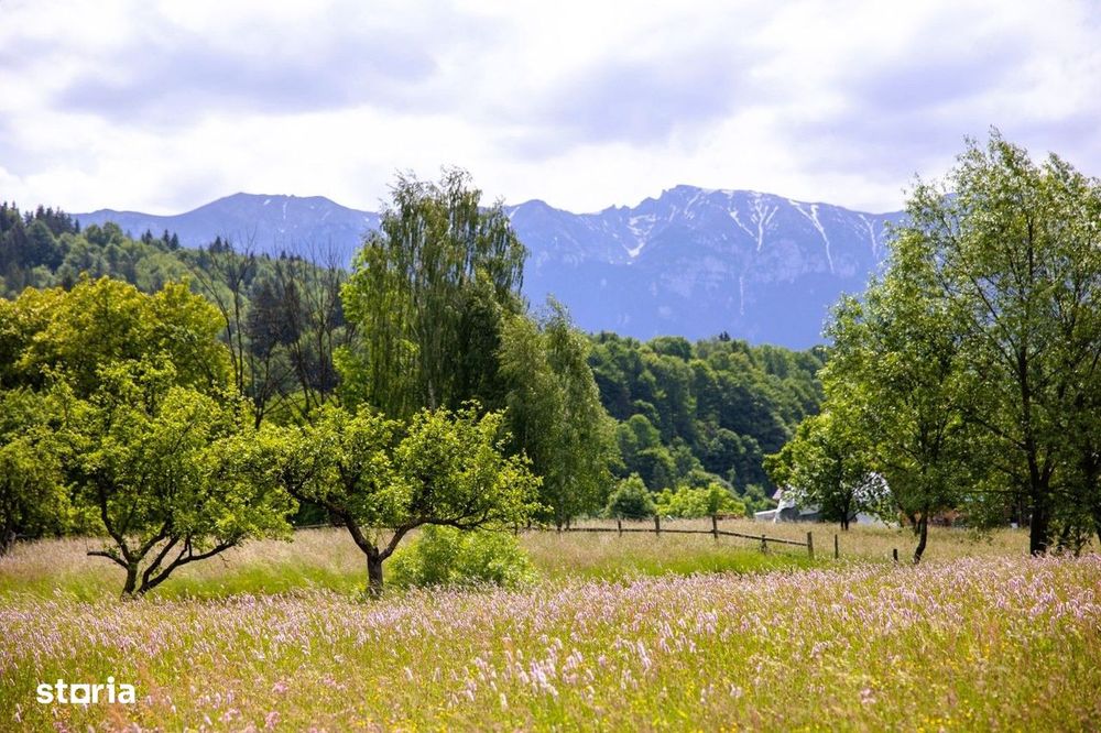 Teren intravilan plat in Bran, 1000 mp, vedere către Bucegi, utilitati