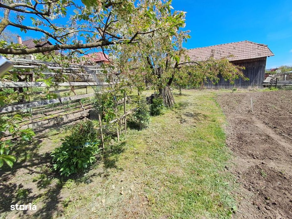 Nazna | Casa + 2900 mp teren