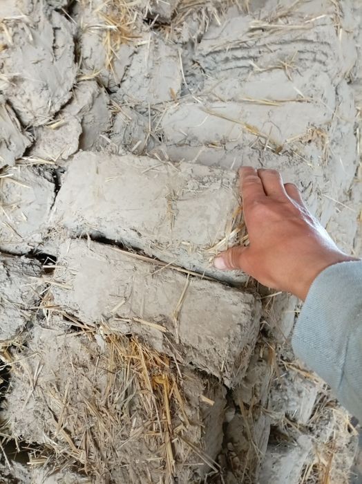 Лой гишт сотилади