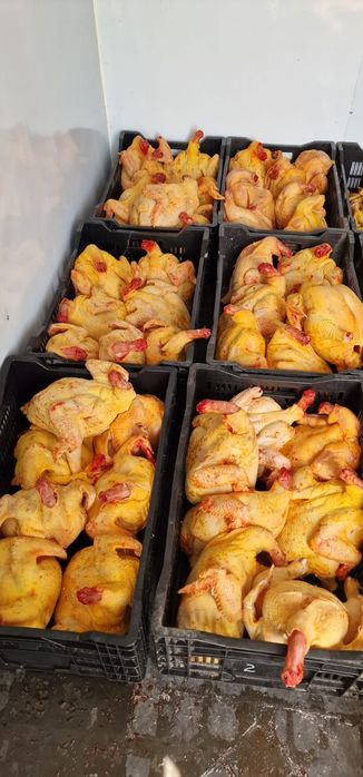Мясо курицы, бройлеры