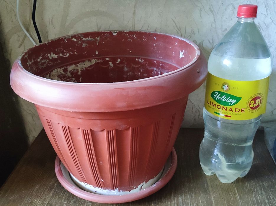 Горшок для растений