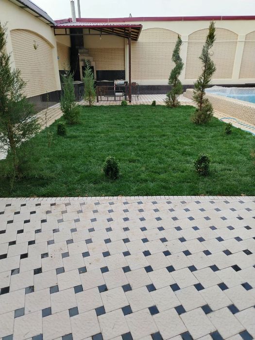 Gazon ruloniy yevro urugʻ