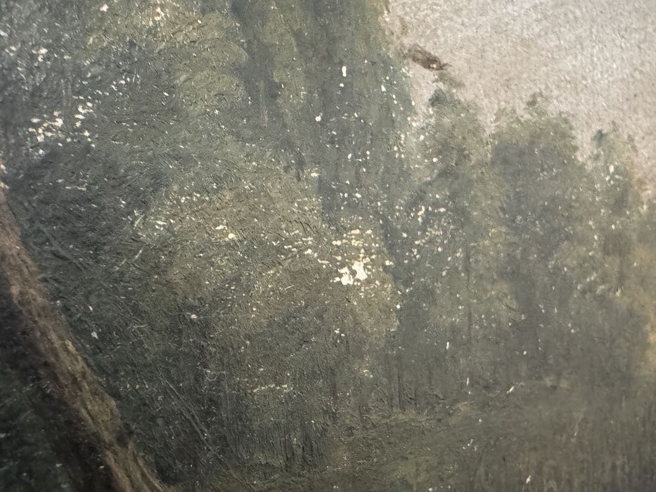 Tablou vechi C.Sschweninger. Pictura in ulei pe carton.