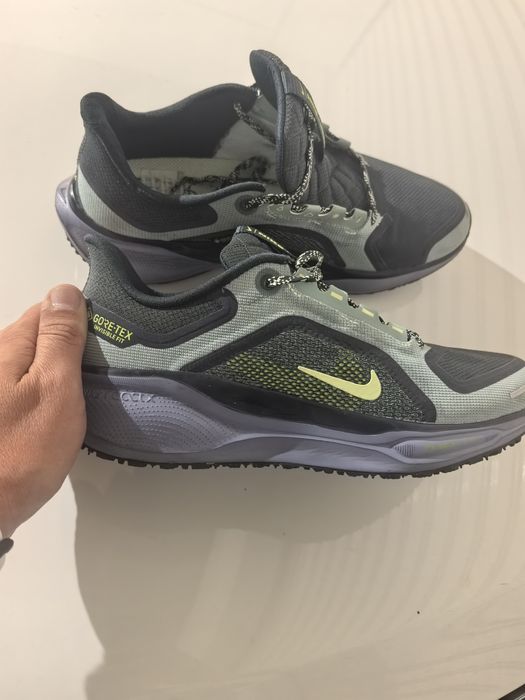 Nike pegasus 41 GTX