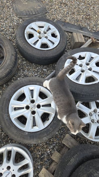 Cauciucuri  vara Opel Corsa Astra .4.x100