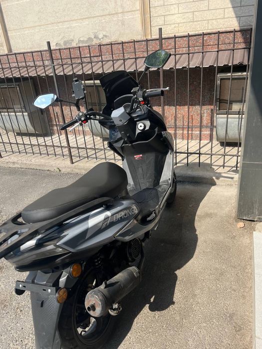 Tiger 2025 srochne sotilad