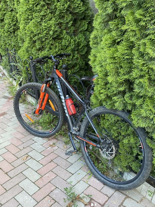 Author Rival 27.5