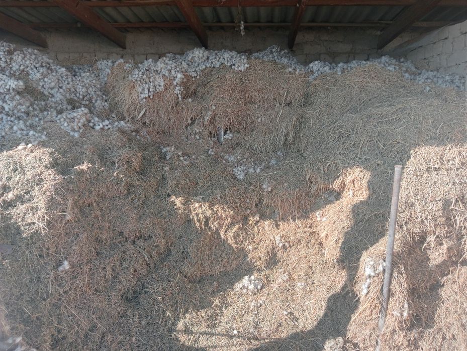 Шоп сатылады    .