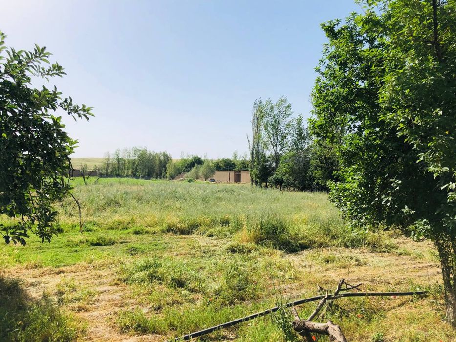 HOVLI SOTILADI  24sotix 8xonali yashashga tayyor