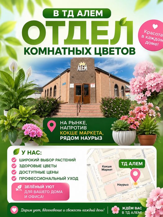 Комнатные цветы в ассортименте!