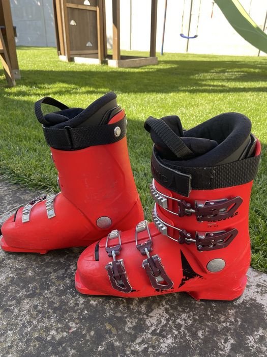 Clapari ATOMIC Redster Jr