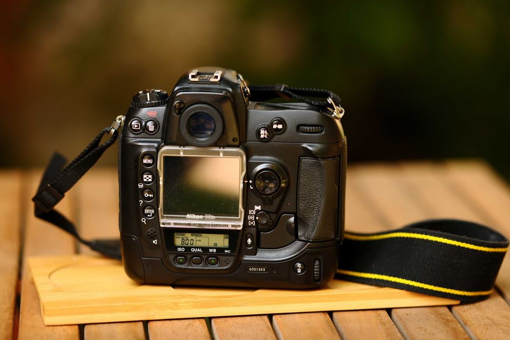 Nikon D2X s + 70-200 2.8 VR