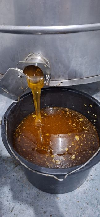 Vând miere poliflora 200 kg