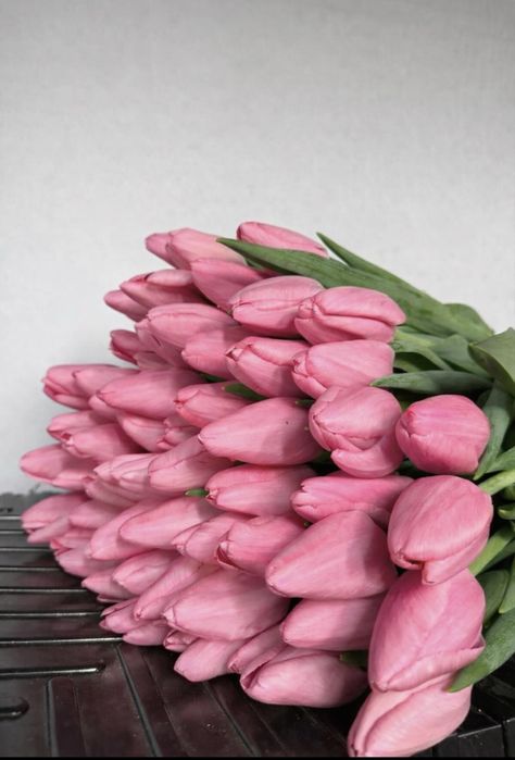 Тюльпаны премиум качество