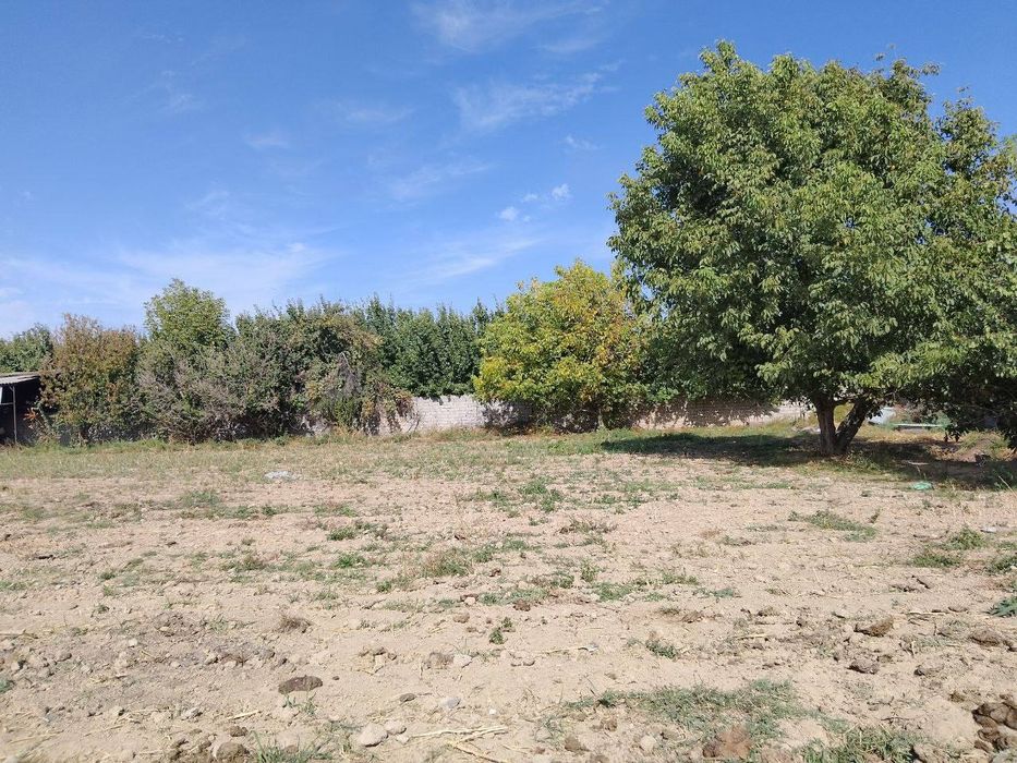 Srochna sotiladi 155 sotu