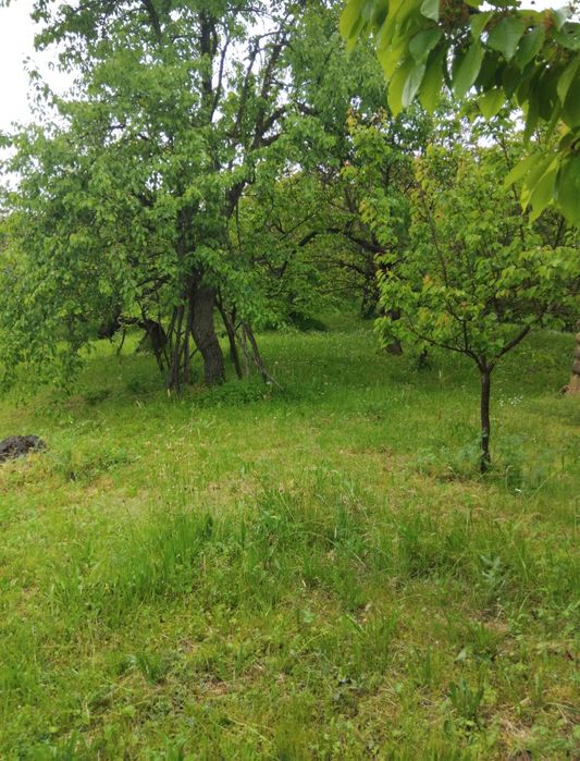 Продава къща в с.Згурово обл.Кюстендил