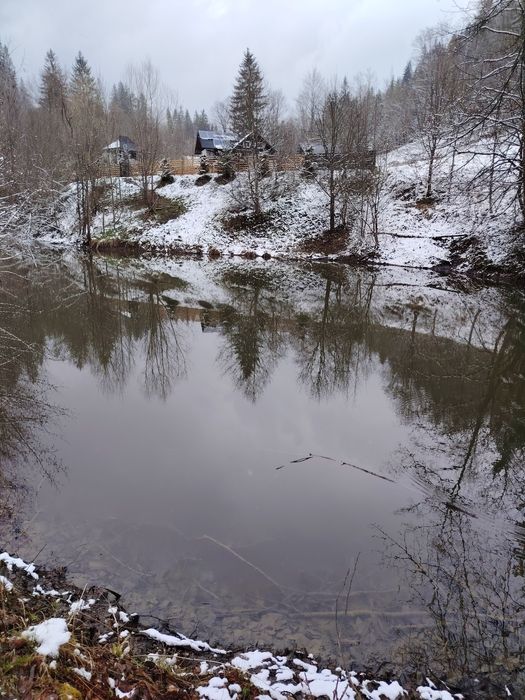 Închiriez cabană cu cinci camere la 7 km de Gura Humorului