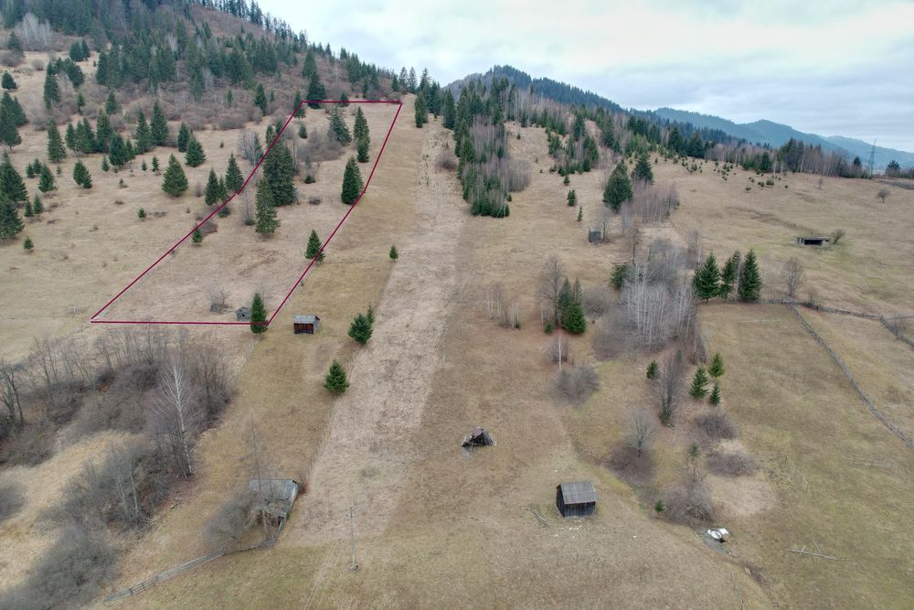 Teren extravilan Valea Caselor