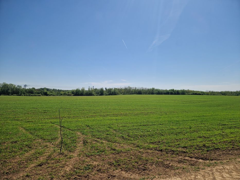 Direct Proprietar