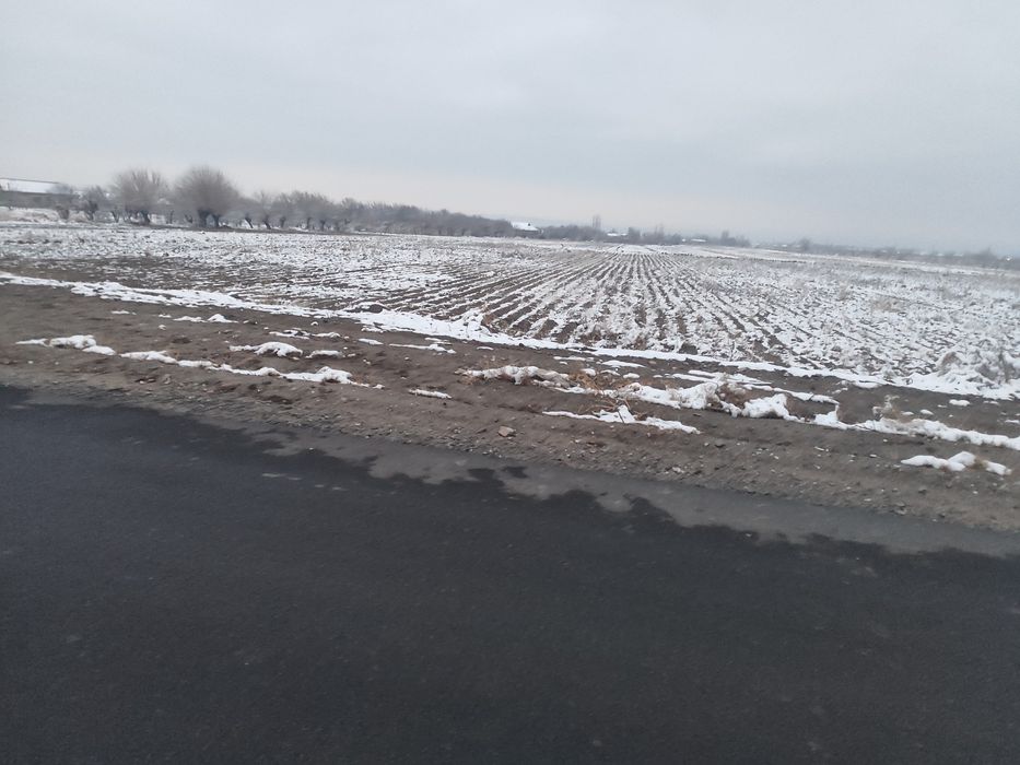 1.5 gektar er maydoni 30 yillik ijara huquqi yoki  beznes xamkorlik