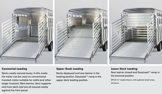 Transport animale vii autorizat