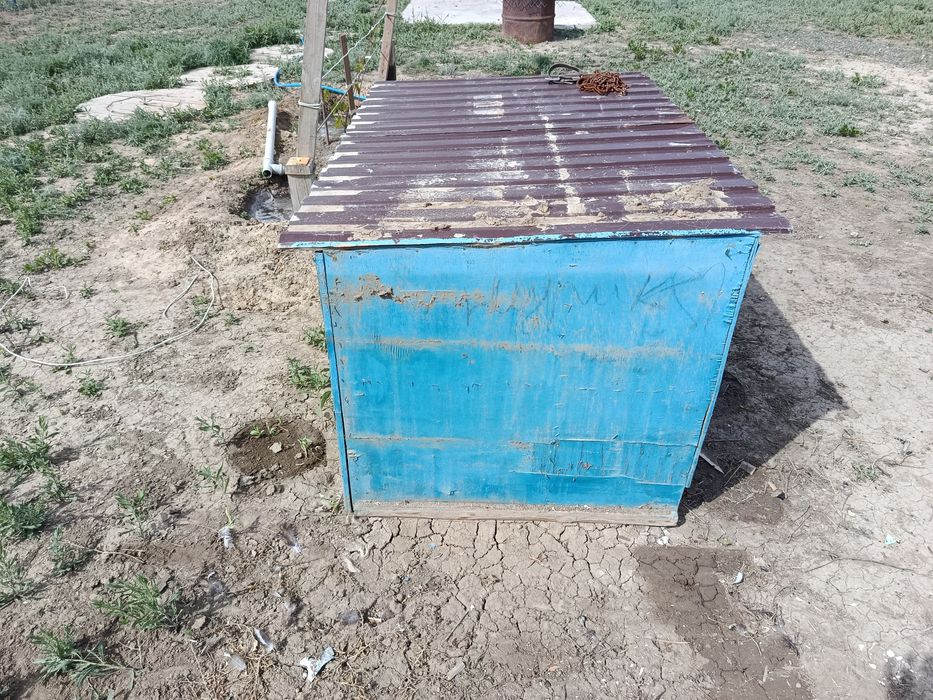 Итің ұясы Сабачи домик