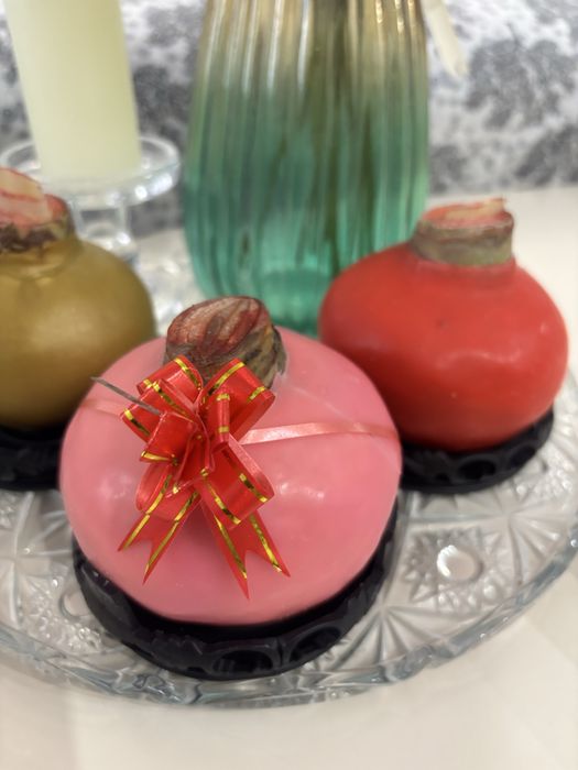 Луковицы Амариллиса