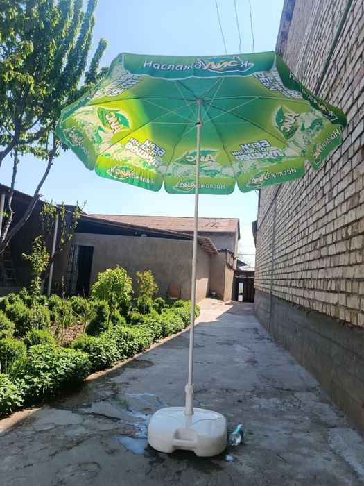 Zonti naves yengi