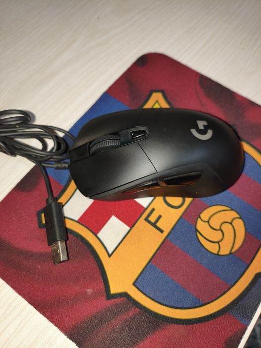 G403  sichqoncha