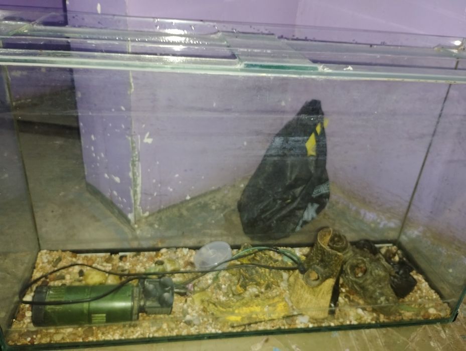 Продам аквариум цена договоримся в хорошем состоянии