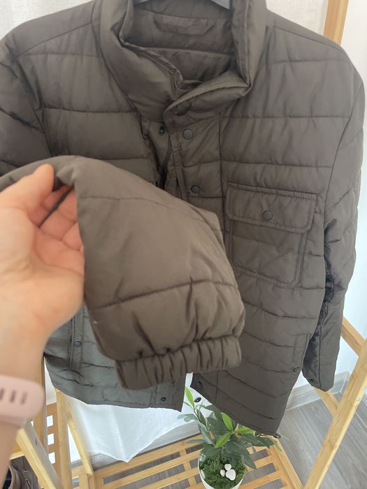 Geaga barbati Mango legera de primavara