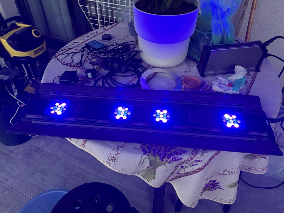 Vand lampa acavriu marin si skimmer