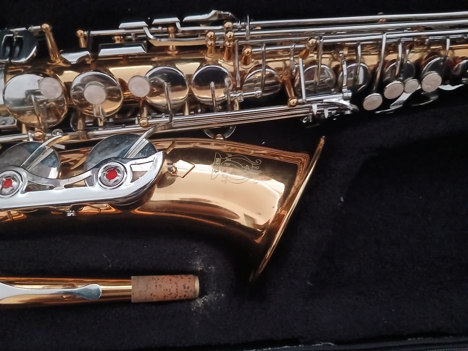 Saxofon parot nou